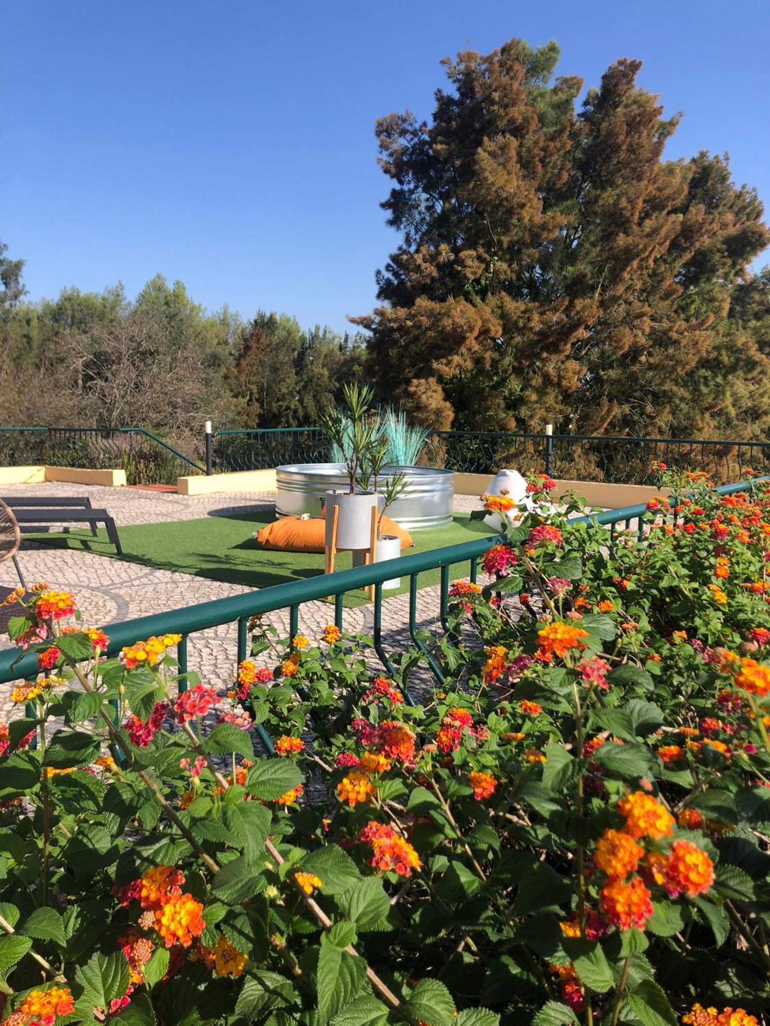 Villa Casal Assis Setúbal Eksteriør billede